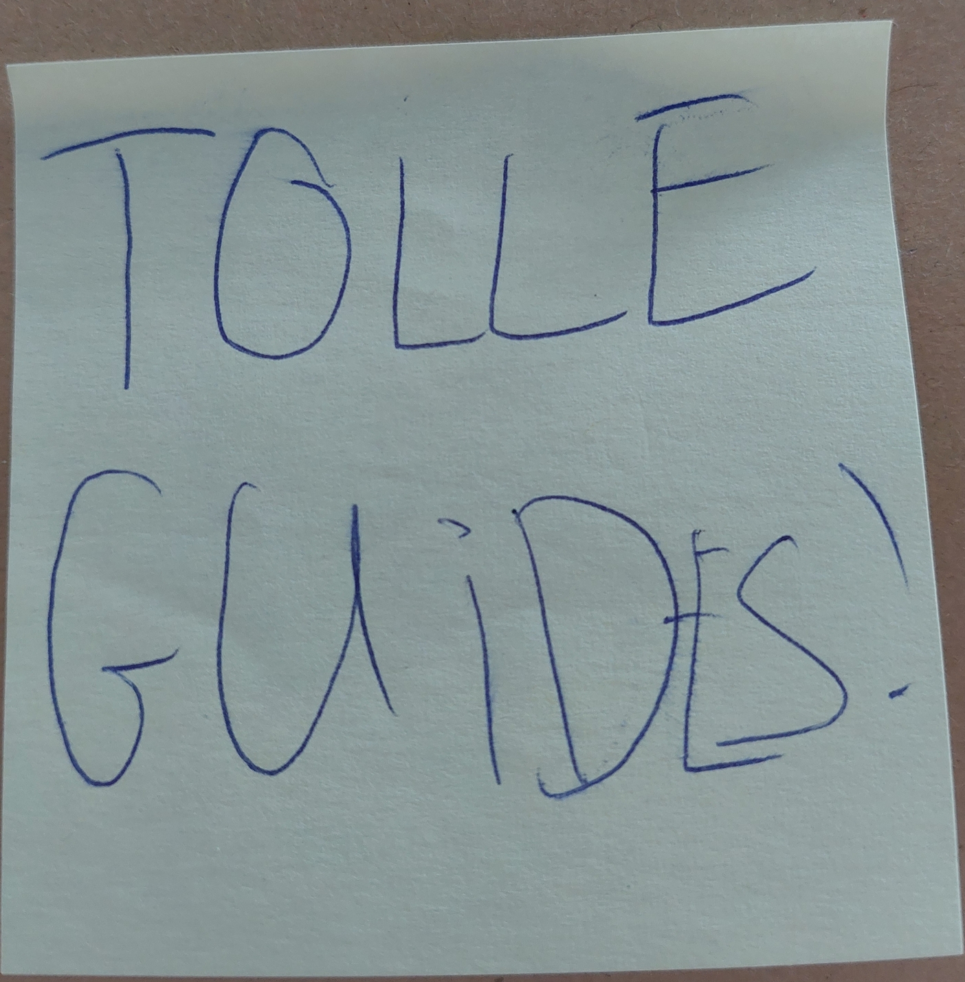 Tolle Guides!